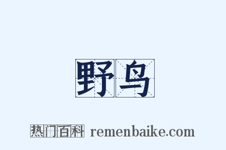 野鸟是什么意思的图片